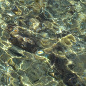 Crystal Waters